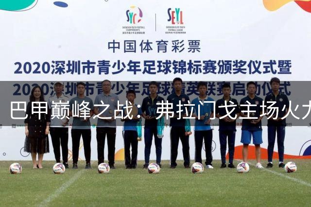 巴甲巅峰之战：弗拉门戈主场火力全开迎战客场虫圣保罗